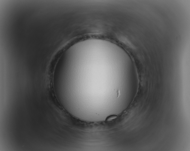 X0000089461208200706291455
