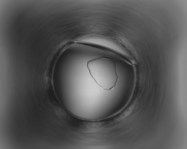 X0000089461210200706291455
