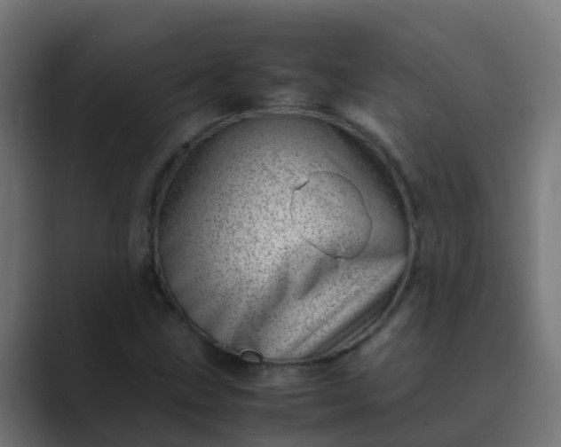 X0000089461211200706291455