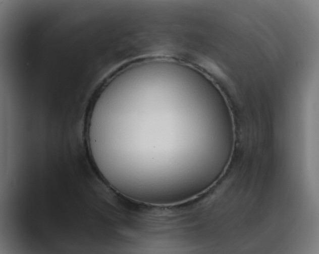 X0000089461216200706291455