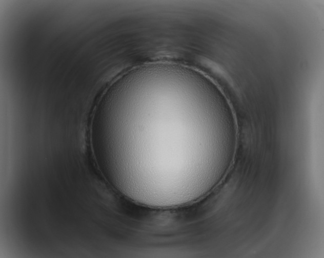 X0000089461217200706291455
