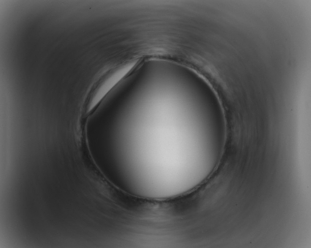 X0000089461218200706291455