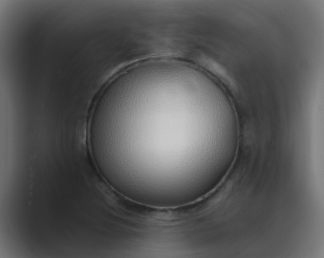 X0000089461220200706291455