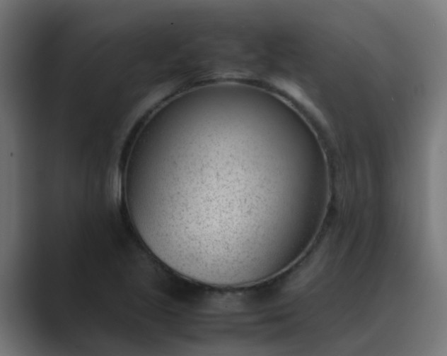 X0000089461221200706291455