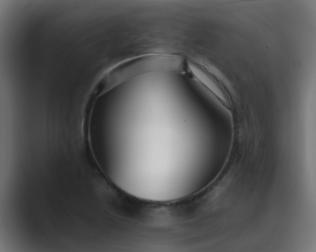 X0000089461222200706291455