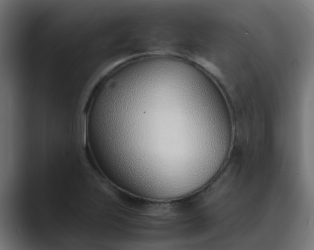 X0000089461223200706291455