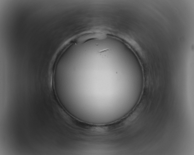 X0000089461224200706291455