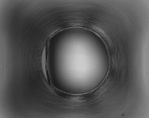 X0000089461225200706291455