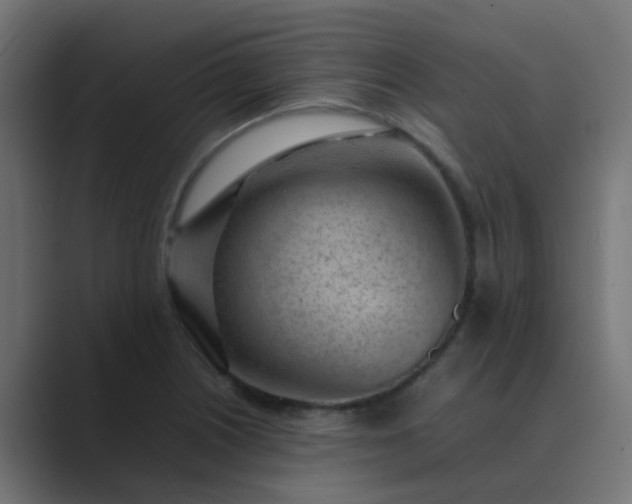 X0000089461226200706291455