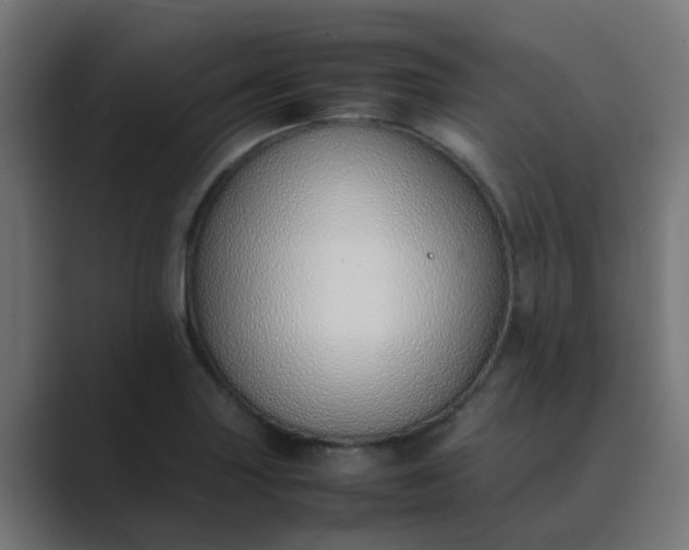 X0000089461227200706291455