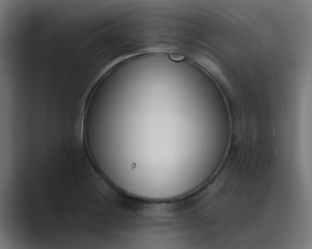 X0000089461228200706291455