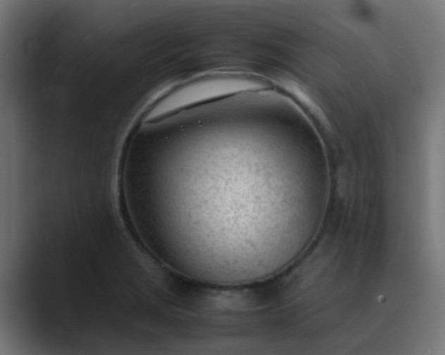 X0000089461229200706291455