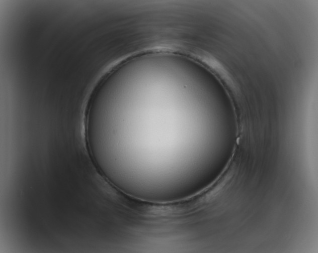 X0000089461232200706291455