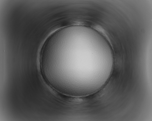 X0000089461235200706291455