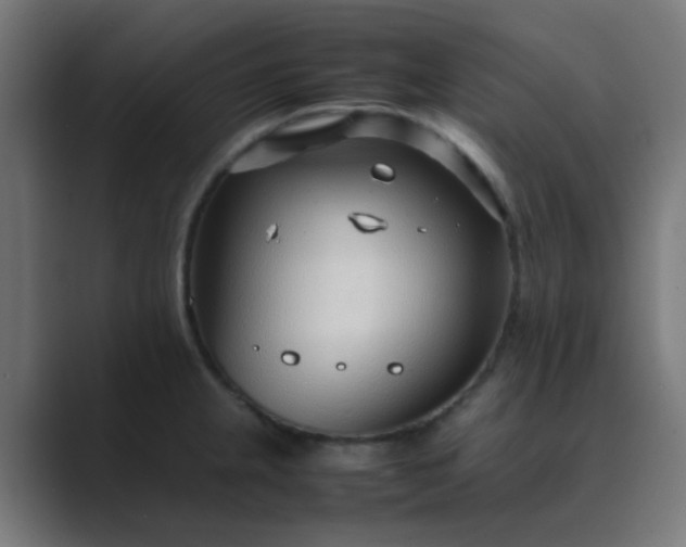 X0000089461237200706291455