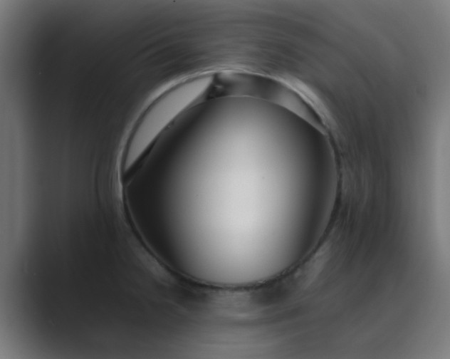 X0000089461238200706291455