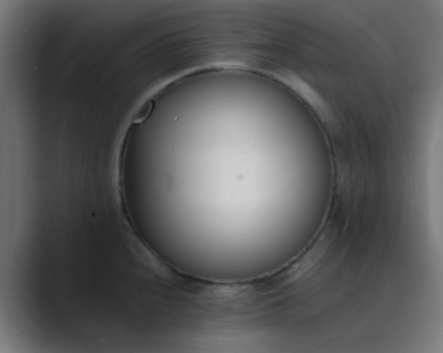 X0000089461240200706291455
