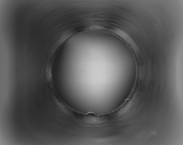 X0000089461241200706291455