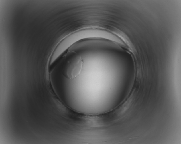X0000089461242200706291455