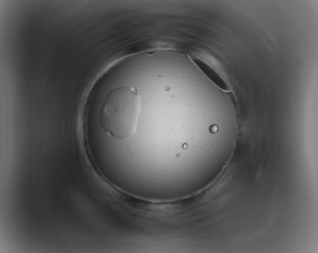 X0000089461243200706291455