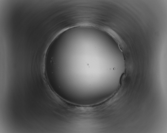 X0000089461244200706291455