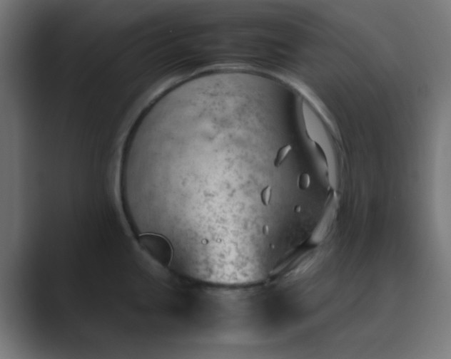 X0000089461245200706291455