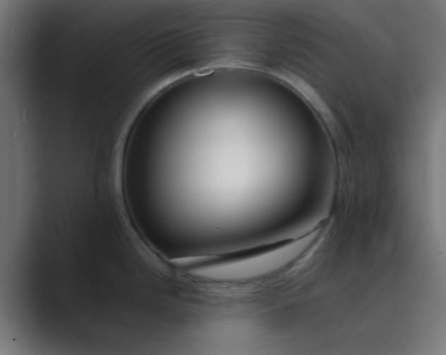 X0000089461246200706291455