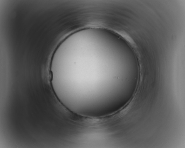 X0000089461248200706291455