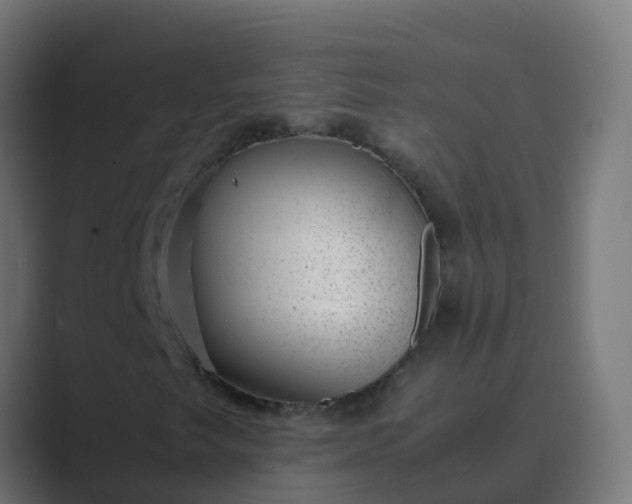 X0000089461249200706291455