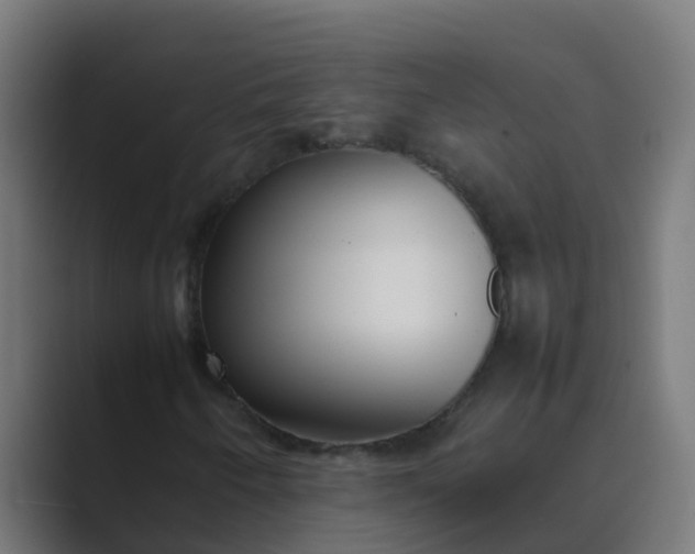 X0000089461250200706291455
