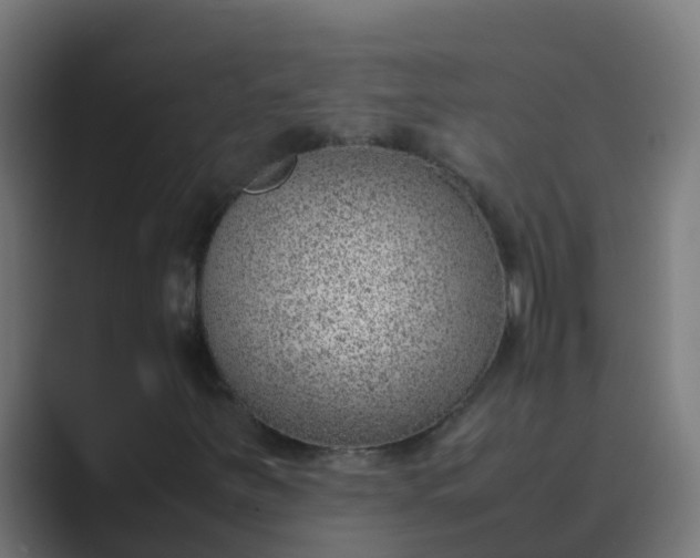 X0000089461251200706291455