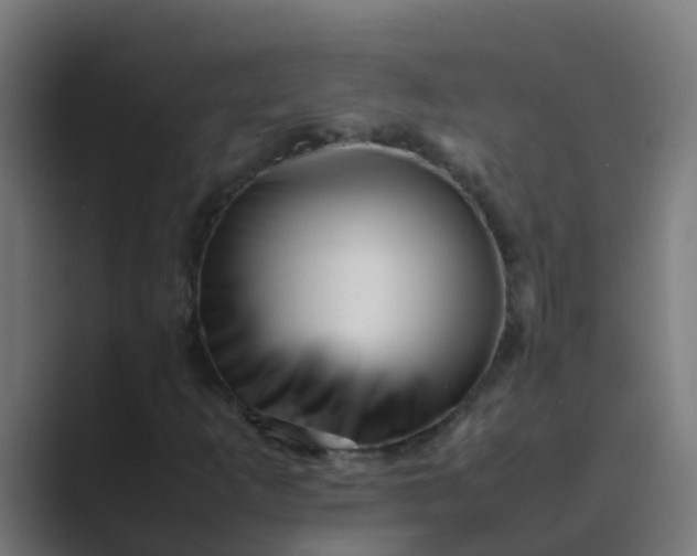 X0000089461253200706291455