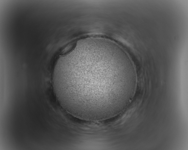 X0000089461255200706291455