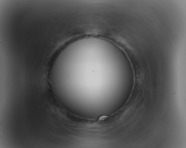 X0000089461256200706291455