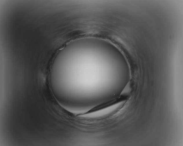 X0000089461257200706291455
