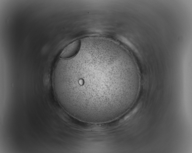 X0000089461259200706291455
