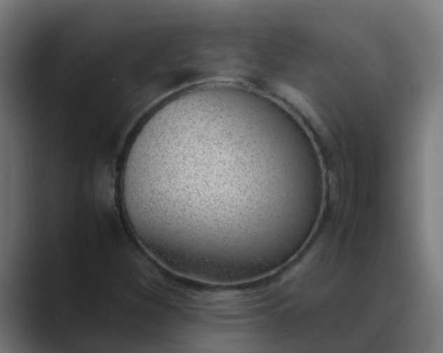 X0000089461260200706291455