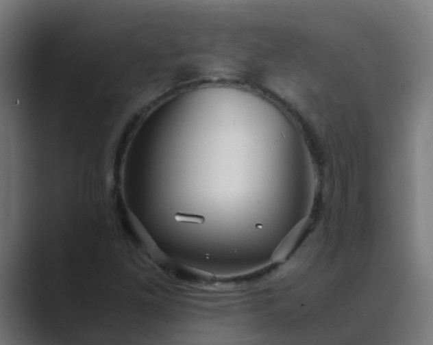 X0000089461261200706291455