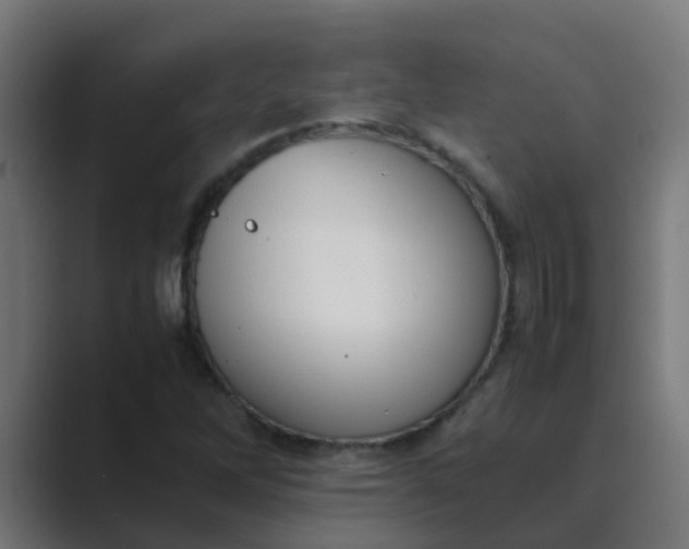X0000089461262200706291455