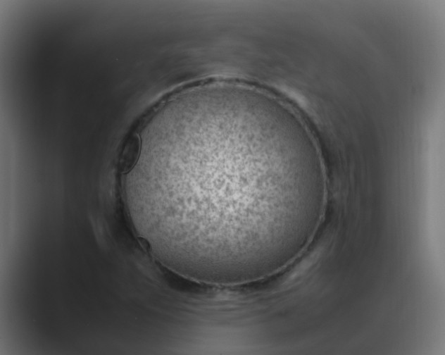 X0000089461263200706291455