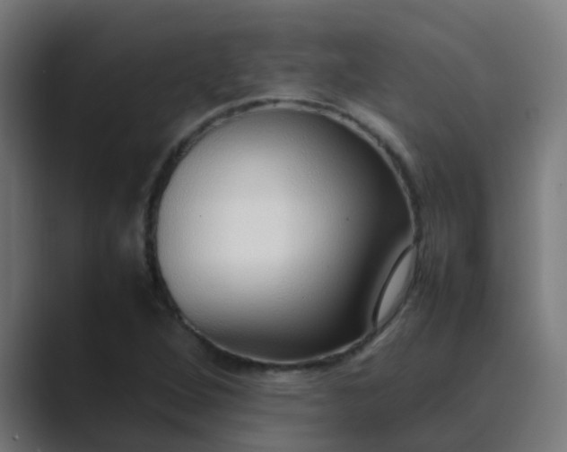X0000089461264200706291455
