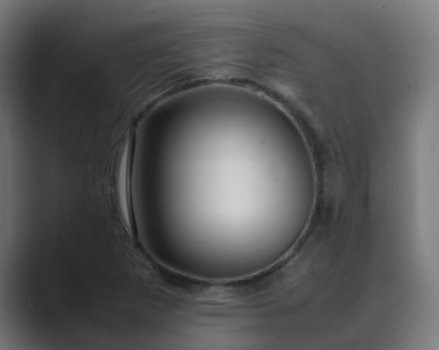 X0000089461265200706291455
