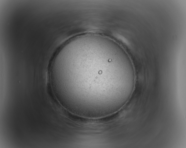 X0000089461267200706291455