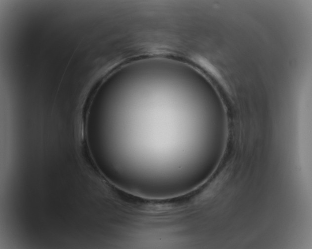 X0000089461269200706291455