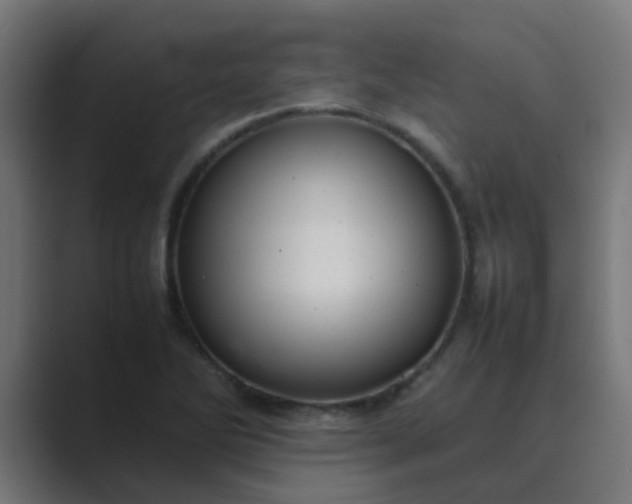 X0000089461270200706291455