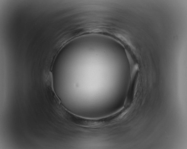 X0000089461273200706291455