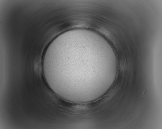 X0000089461274200706291455