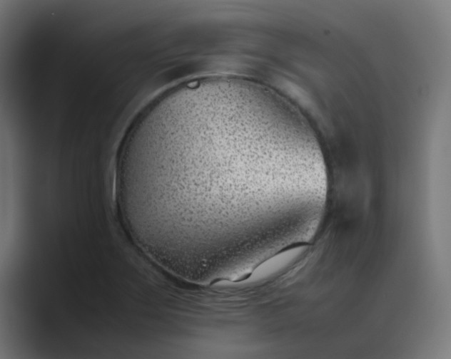 X0000089461275200706291455