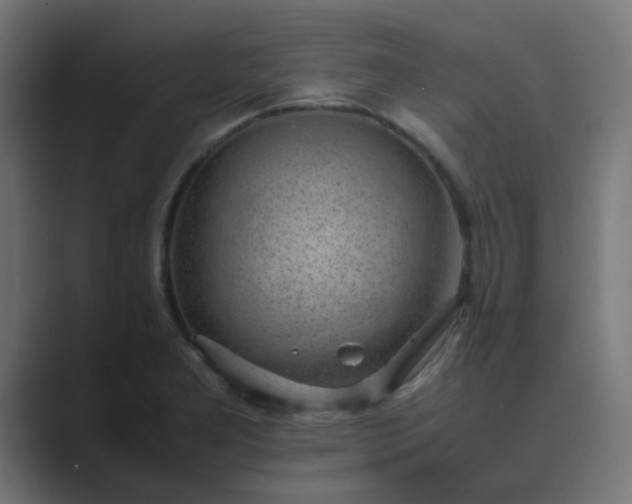 X0000089461277200706291455