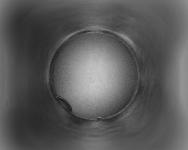 X0000089461279200706291455